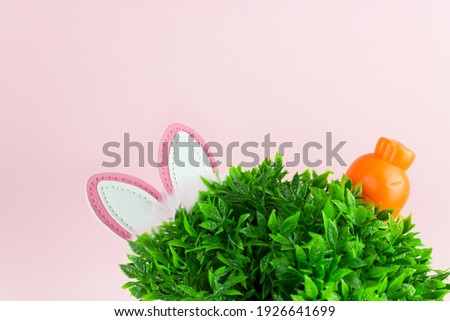 Easter Photo with grass, rabbit ears, orange carrot on pink background. Easter background. Springtime garden or meadow
