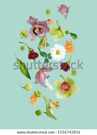 Beautiful flying pastel flowers falling and levitating against mint background. Creative spring bloom or floral layout. Minimal birthday, Mother's, Valentines, Women's day or wedding concept. Royalty-Free Stock Photo #1926742856