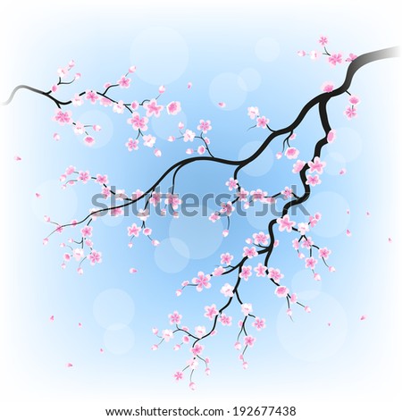 Branches of sakura for your design 