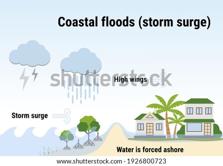 Coastal floods (storm surge). Flooding infographic. Flood natural disaster with rainstorm, weather hazard. Houses, trees covered with water. Global warming and climate change concept.  Flat vector. Royalty-Free Stock Photo #1926800723