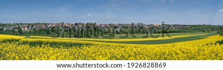 Rural scene panorama - flowering rapeseed fields and meadows with village in spring - taken in Empfingen, Germany
