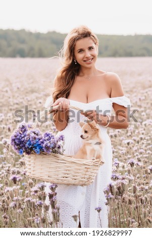chihuahua dog in a basket of flowers in the hands of a girl in a field in summer in nature