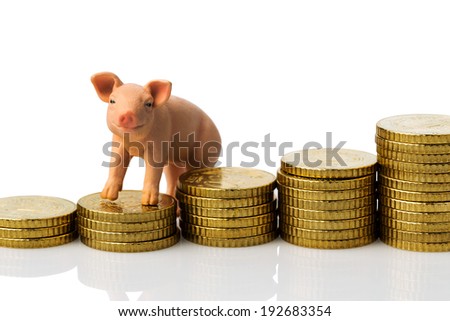 a pig standing on a pile of coins. rising feed costs in agriculture. falling income for pork