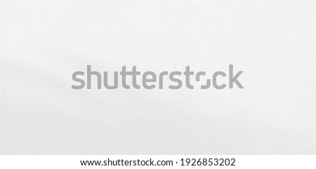 Abstract Shadow. blur background. gray leaves that reflect concrete walls on a white wall surface for blurred backgrounds and monochrome wallpapers. Royalty-Free Stock Photo #1926853202