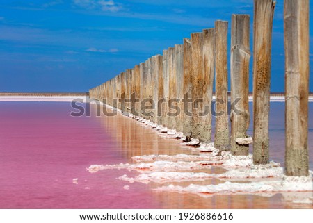 Amazing Real pink color salt lake and deep blue sky minimalistic natural landscape, Ukraine travel background Royalty-Free Stock Photo #1926886616
