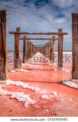 Pink color of salt lake and deep blue sky,  minimalistic natural landscape, Ukraine travel background. Miracle of nature Royalty-Free Stock Photo #1926900485