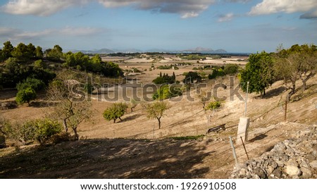 view of valley with fields and trees in spain
