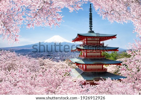 Chureito Pagode and Mount Fuji with cherry blossom tree during spring season Royalty-Free Stock Photo #1926912926