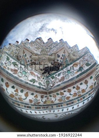 Fish eyes lens Black cat with thai giant at temple stupa at wat arun thai architecture