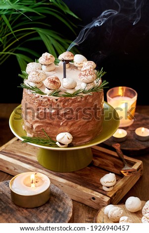 Chocolate birthday cake. The cake is decorated with meringue mushrooms. Wooden and black  background. Side view. Flowers.