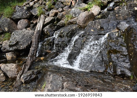 Mountain stream in the park