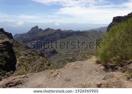 Landscape photograph of mountains and a village with plants in the foreground on the island Tenerife Spain