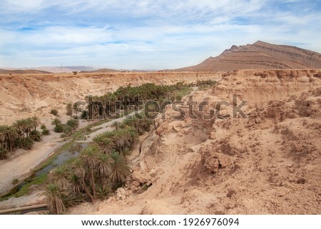 riverbed in the desert with palm trees