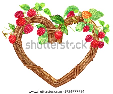 Raspberry  clip art, floral heart. 
 Stock illustration. Hand painted in watercolor.