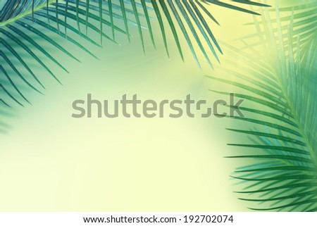 Palm leaves background.