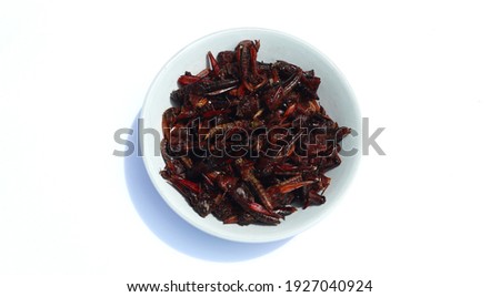 Fried grasshopper that can be eaten on a plate with isolated in white. Fried insects are a regional delicacy in Asia Royalty-Free Stock Photo #1927040924