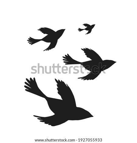 Digital silhouettes of birds. Bird vector illustration. Element for cricut.