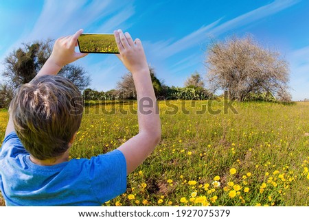 The boy takes pictures of flowers on a cell phone. Negev desert. Fields of flowers in the bright southern sun. Lovely warm day. Israel. 