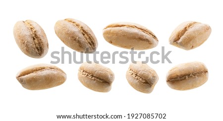 A set of pearl barley. Isolated on a white background Royalty-Free Stock Photo #1927085702