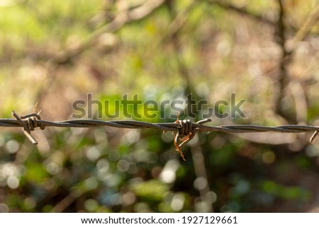 a close up view of a line of barbed wire surrounding a farm 