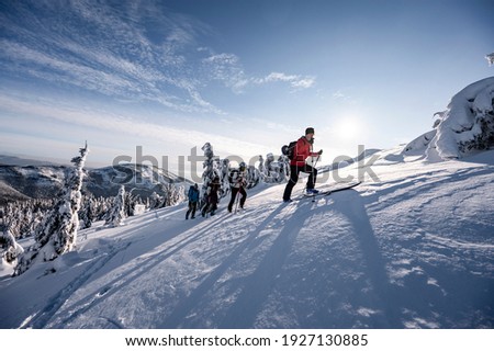 Mountaineer backcountry ski waling in the mountains. Ski touring in high alpine landscape with snowy trees. Adventure winter extreme sport.