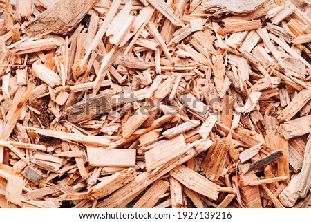Small pile of wood chips background, top view. Waste from the woodworking industry, fuel and raw materials for heating solid fuel industrial boilers on wood chips Royalty-Free Stock Photo #1927139216