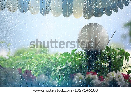 spring rain background branches leaves, abstract background