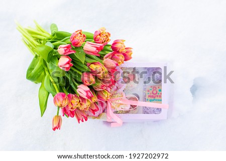 Red tulips with fresh snow