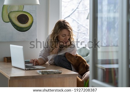 Wirehaired Vizsla dog interferes with work at laptop and asks for attention. Woman distracted by a dog and asks her not to interfere with her work. Love pets.  Royalty-Free Stock Photo #1927208387