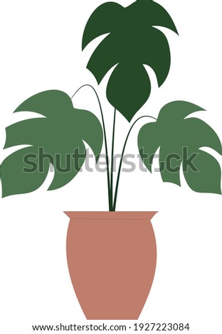 Illustration vector graphic of Simple dan Elegant Floral Botanic. Perfect for Botanical product, etc.