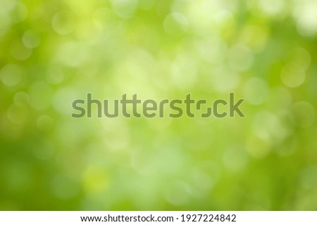 Beautiful Nature defocused bokeh green background, texture. Blurred crown trees in garden close-up. Natural spring backdrop With Copy Space for design