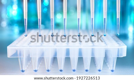Multichannel pipette tips filled in with reaction mixture to amplify DNA in plastic wells Royalty-Free Stock Photo #1927226513