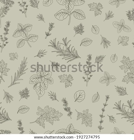 Hand-drawn herbs seamless pattern parsley basil oregano thyme rosemary dill Royalty-Free Stock Photo #1927274795