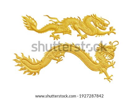 Golden traditional chinese dragon two stance style  background, Chinese golden dragon isolated on white , clipping path included
