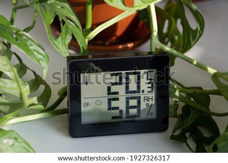 Healthy home. Thermometer and hygrometer. Air humidity measurement. Optimum humidity at home. Thermometer in the interior, among houseplants Royalty-Free Stock Photo #1927326317
