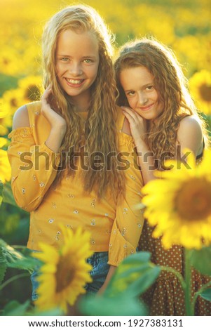 Girlfriends of the girl laugh and play sunflower. Baby girl in sunflowers. High quality photo.