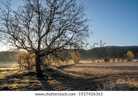 landscape at sunrise in the field