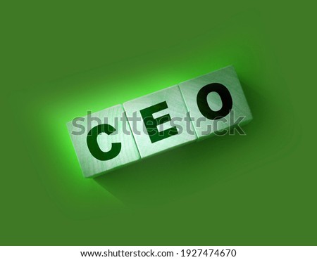 CEO letters on wooden cubes for Chief ExecutiveOfficer on red background. General Director business concept.