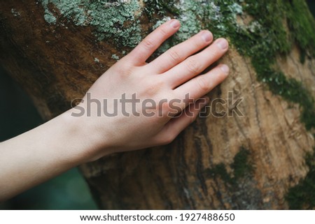 young female hand touching old moss tree bark, protect nature, green eco-friendly lifestyle, sunny morning, copy space
