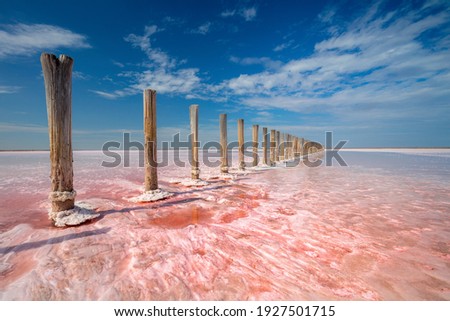 Miracle of nature!  Real pink color of salt lake and deep blue sky,  minimalistic natural landscape, Ukraine travel background Royalty-Free Stock Photo #1927501715