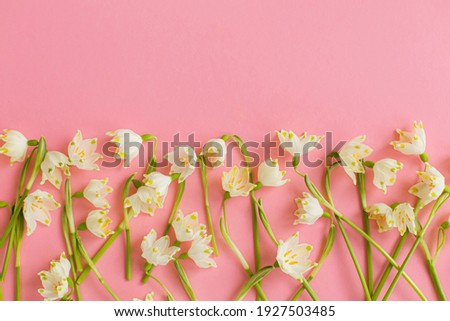 Spring flowers border flat lay on pink paper. Stylish floral greeting card with space for text. White spring snowflakes flowers on pink background. Happy Womens day and Mothers day greetings