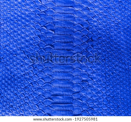 Blue snake skin background, close-up texture picture