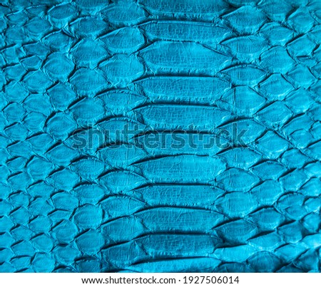 Blue snake skin background, close-up texture picture