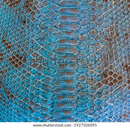 Green snake skin background, close-up texture picture
