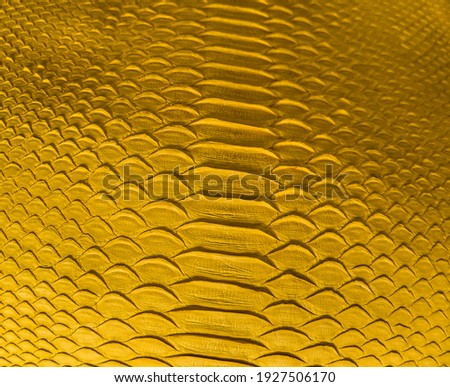 Yellow snake skin background, close-up texture picture