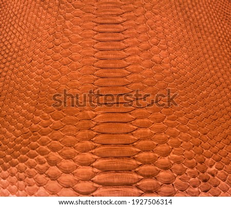 Orange snake skin background, close-up texture picture