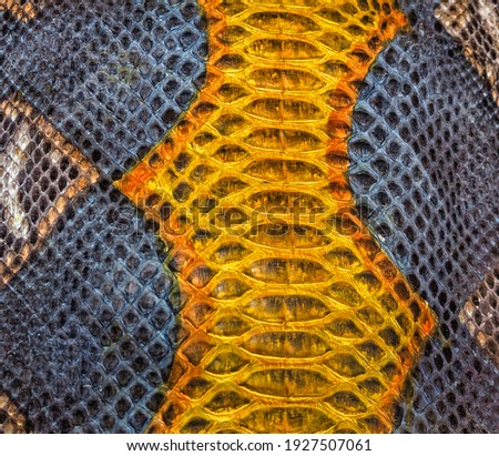 Golden snake skin background, close-up texture picture