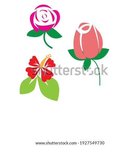 vector flat or minimalist rose and hibiscus flower clipart or logo or icon