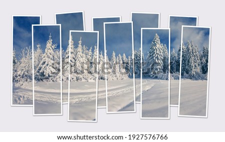 Isolated ten frames collage of picture of picturesque winter scene mountain forest. Amazing morning view of Carpathian mountains. Mock-up of modular photo.
