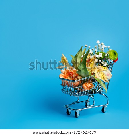 Flowers in miniature shopping trolley on vibrant blue background. Flower delivery concept with copy space. Sale, shopping for the holidays, Mothers Day, Women's Day, Valentines Day or Birthday.